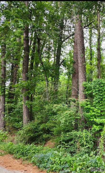 Lot 85 Baker Dr, Denham Springs, LA 70726