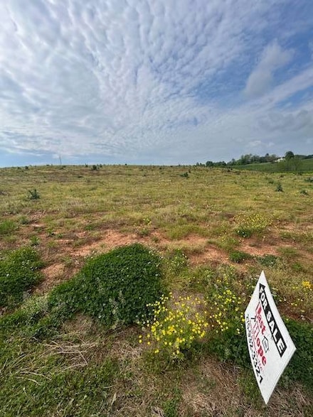 141 Self Ln, Hardyville, KY 42746