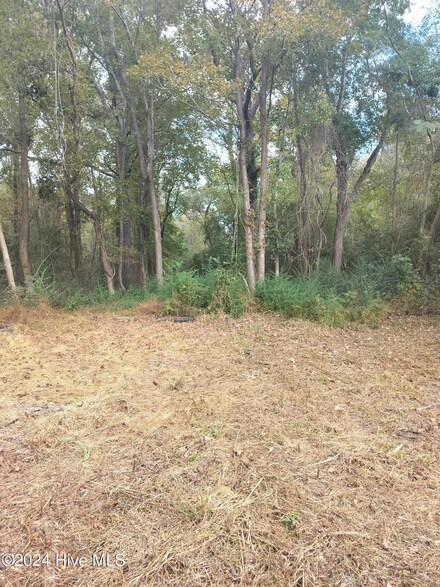 2523 Rockhill Rd, Castle Hayne, NC 28429