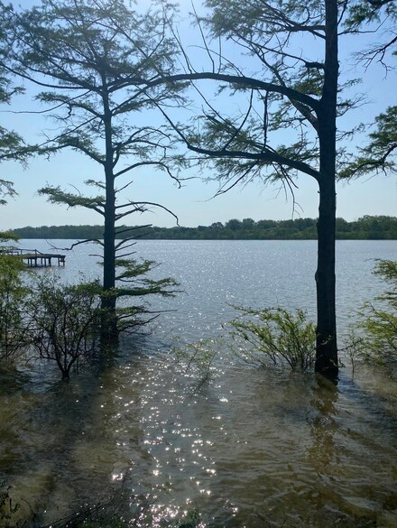 0 Neill Cove, Dundee, MS 38626