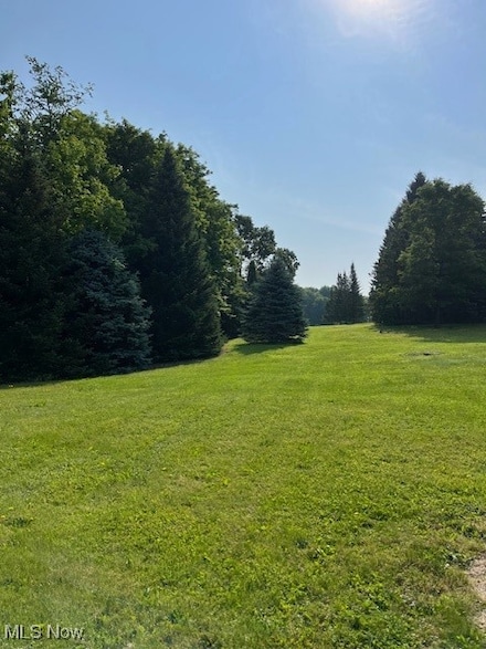 V/L Chillicothe Rd, Bainbridge, OH 44023