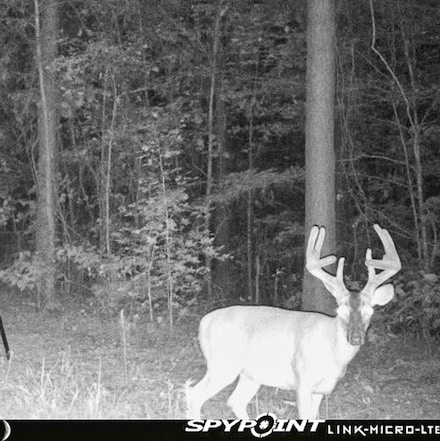 0 County Road 180, New Albany, MS 38652