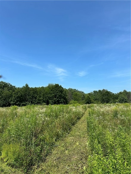 9.19 Acres 105th Ave, Cadott, WI 54727