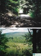 0 Pantherlick Rd, Sugar Run, PA 18846