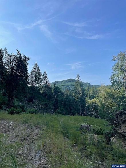 0 SW Pumpkinseed Rd, Willamina, OR 97396