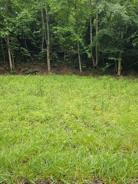 1195 Blaylock Rd, Dickson, TN 37055