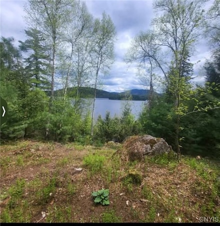 571 Sekon, Tupper Lake, NY 12986