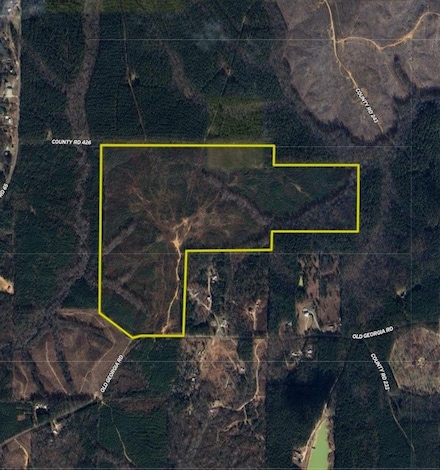 County Road 82, Fruithurst, AL 36262