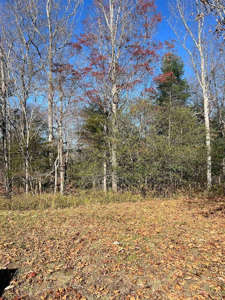 TBD Anderson Farm Rd, Rockbridge Baths, VA 24473