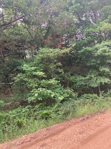 LOT 27 Larchwood Dr, Diamond City, AR 72644