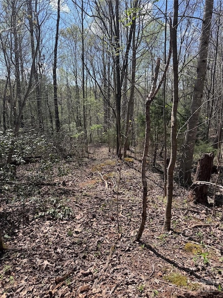 0 Brookside Pkwy Unit 10 CAR4243202, Lake Lure, NC 28746