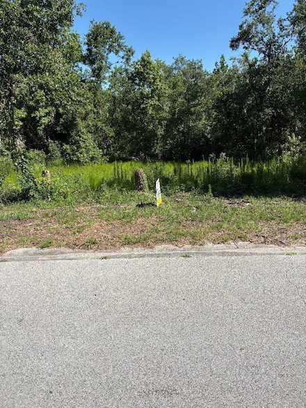 15 Lake Hills Dr, Riverview, FL 33569