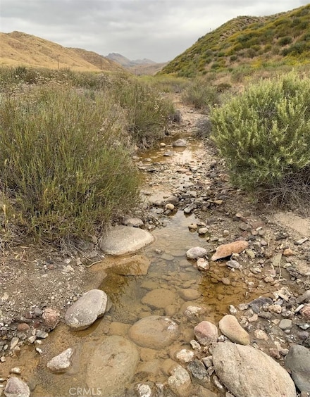 0 Lot 82 In Sw 1 4 of Lot Sec 5 Blk Div Twn 4n Reg R Unit SR25108032, Agua Dulce, CA 91390
