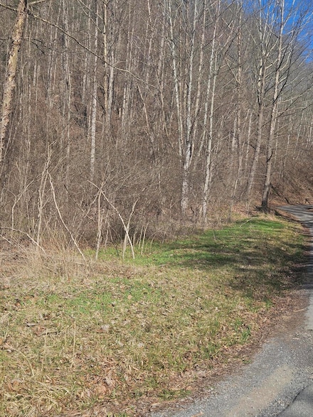 0 Pressmens Home Rd, Rogersville, TN 37857