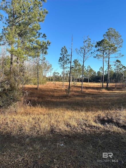00 U S Highway 31, Bay Minette, AL 36507