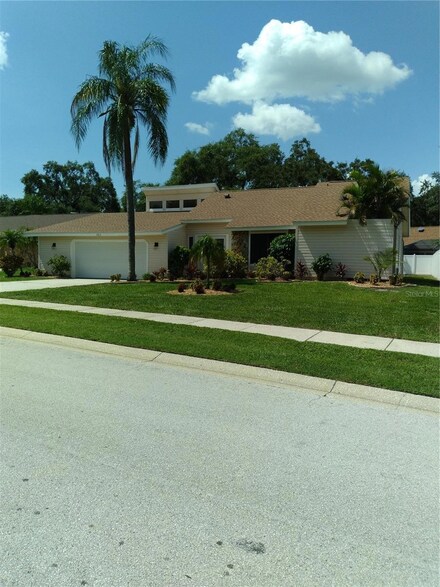 2813 Hamlin Place, Palm Harbor, FL 34684