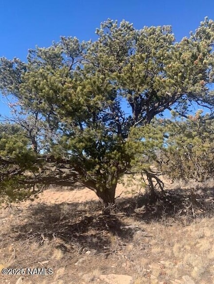 10563 W Bright Sky Trail, Williams, AZ 86046