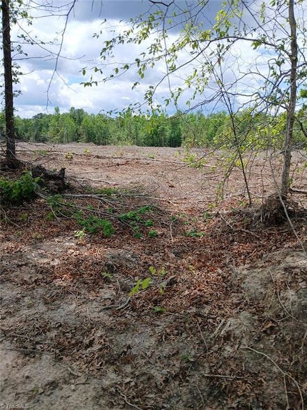 Lot 2A Manning Powel Old MacOn Hwy, Macon, NC 27551