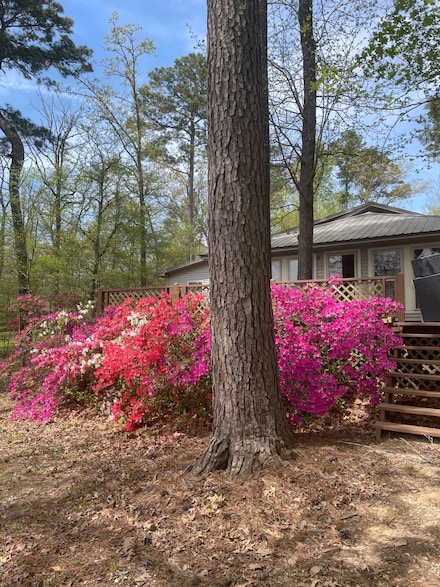 240 Castleberry Rd, Many, LA 71449