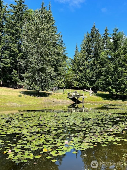 6529 Key Peninsula Hwy NW, Home, WA 98349