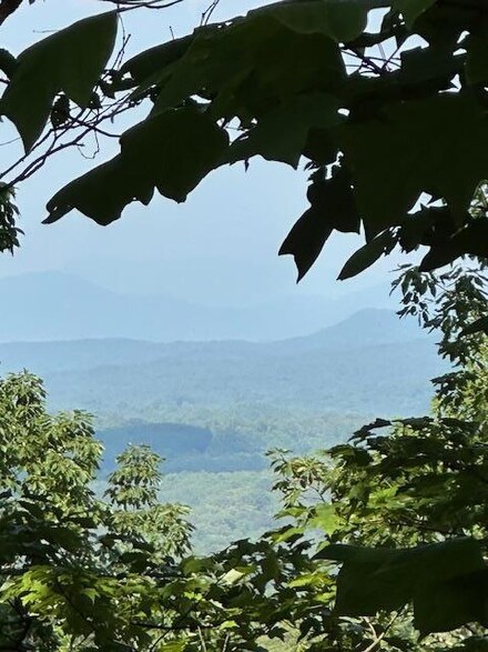 16 Ac Campbell Cove Creek Rd, Turtletown, TN 37391