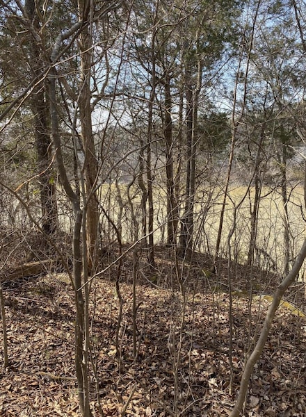 Lot 3 N Fork Rd, Burnside, KY 42519