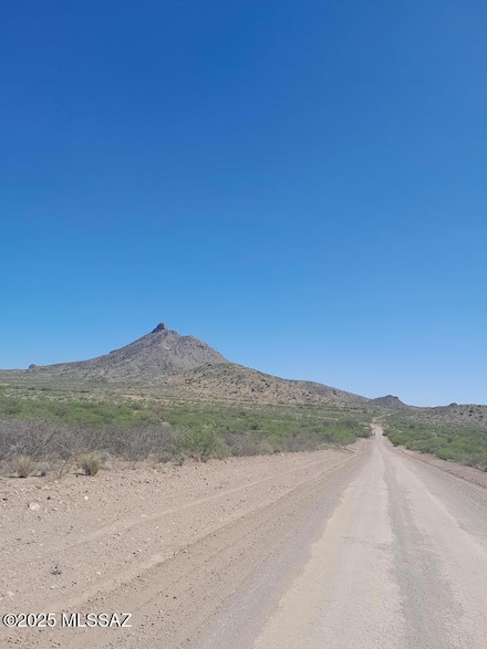 000 E Mulberry Dr Unit 125, Douglas, AZ 85607