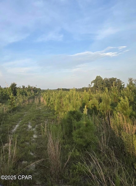 0 Bartlett Rd Unit 776394, Marianna, FL 32448