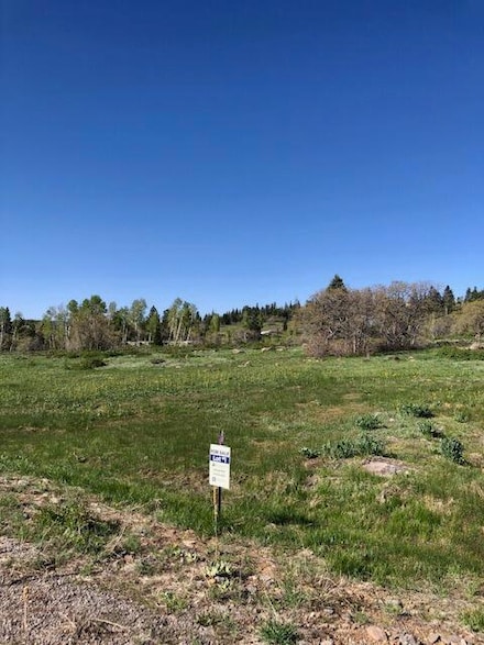 LOT 1 Spring Dr, Virgin, UT 84779