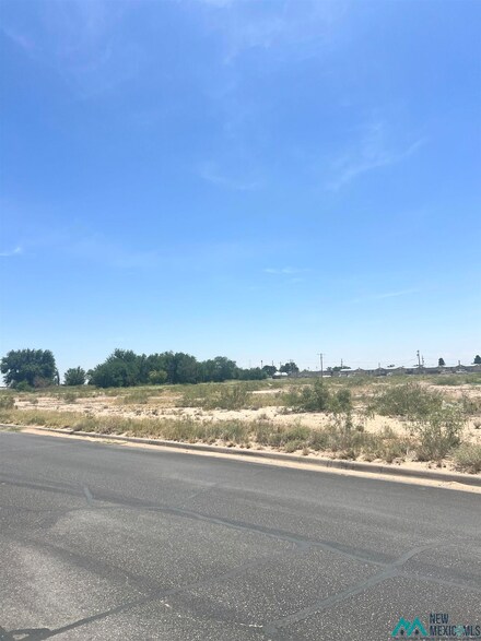 0 Tbd Mesquite St, Jal, NM 88252