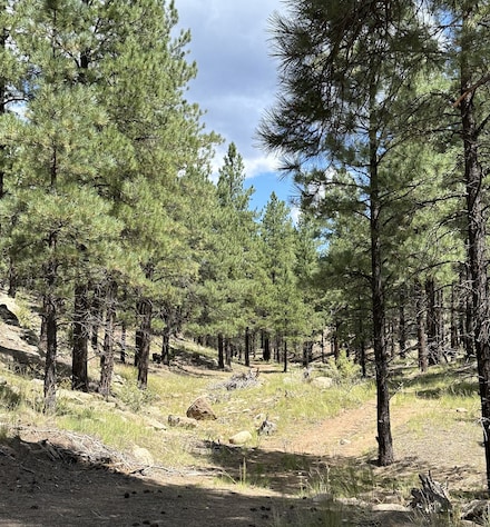 35 Wild Iris Rd, Bluewater, NM 87005