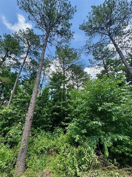 125 Pawpaw Trail, Broken Bow, OK 74728
