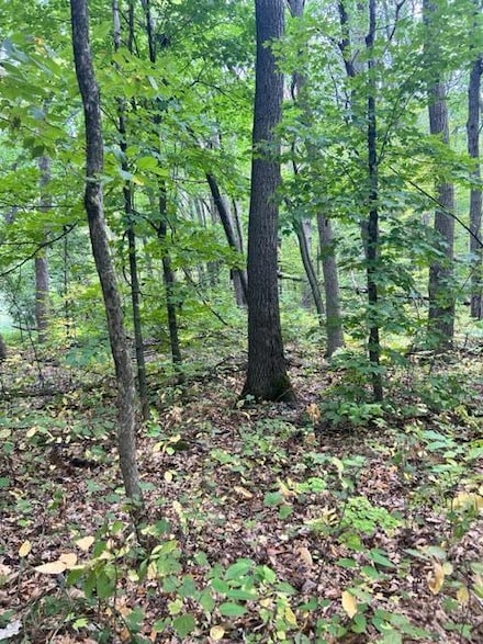 xxx Cedar Rd Marble Dr, Cushing Township, MN 56443