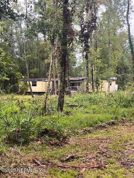 4066 Pinto Rd, Middleburg, FL 32068