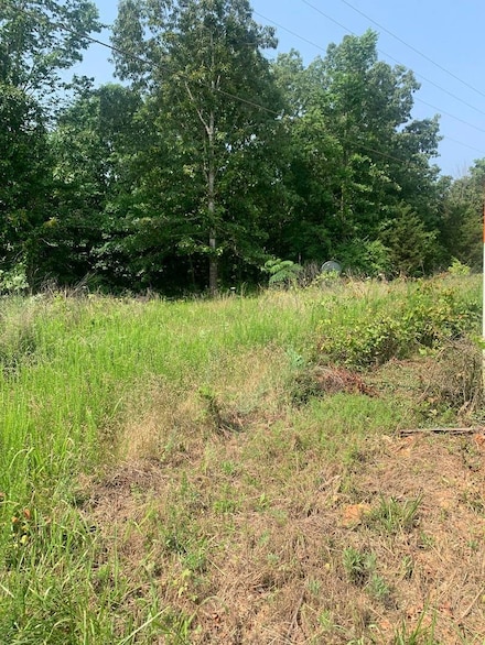 U-1 U-1, Doniphan, MO 63935