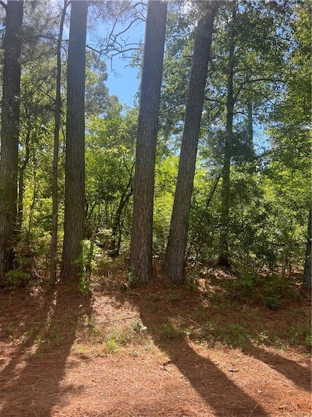 158 Lynn Lake Rd, Pollock, LA 71467