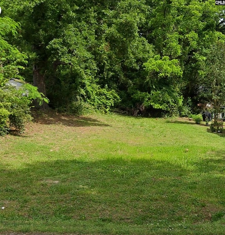 2513 Johnstone St, Newberry, SC 29108