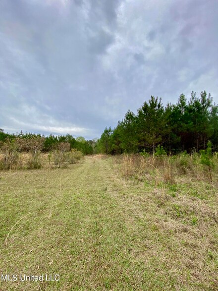 620 George Wise Rd, Carriere, MS 39426