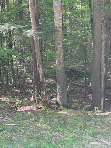 0 Marston Rd Unit 1537030, Baldwin, ME 04091