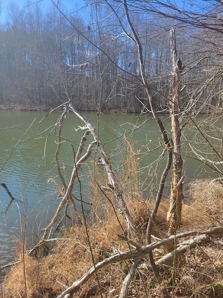 0 Riceville Rd, Java, VA 24565
