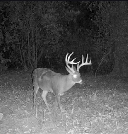 0 Alabama 167 Unit 22892664, Jack, AL
