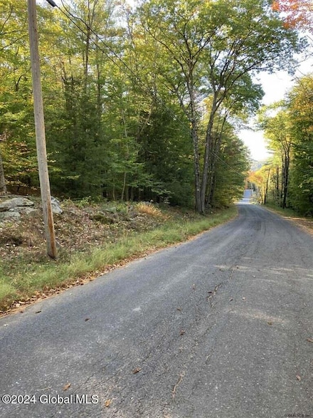 L28 Hall Hill Rd, Lake Luzerne, NY 12846