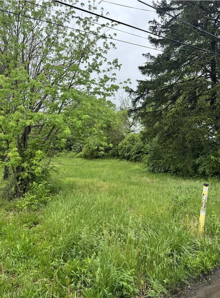 0 Elwood Ave Unit Lot 108 225014603, Columbus, OH 43207