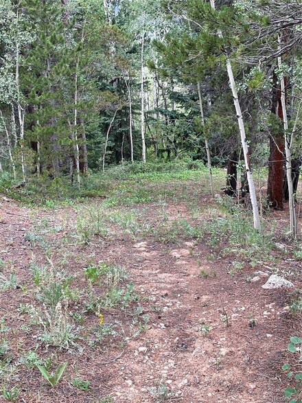 0 S Dory Lakes Dr Unit 8816615, Black Hawk, CO 80422