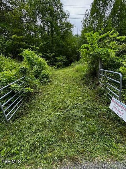00 Early Branch Rd, Rogersville, TN 37857