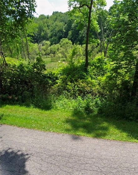 00 Faddis Ave, Neshannock Township, PA 16105