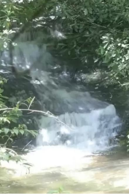 196 Wild Berry Ct, Sapphire, NC 28774