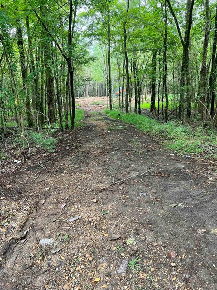 0 Old Meadow Rd, East Central Shelby, TN 38028