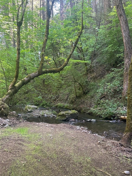 0 Clear Creek Rd Unit 225066697, Placerville, CA 95667