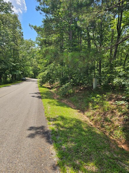 0 Harris Ridge Dr Unit 416841, East Ellijay, GA 30540